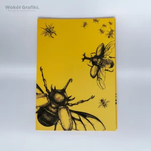 teczki na zamówienie - dowolny zadruk